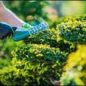Top Commercial Landscaping Services in Northern Rhode Island