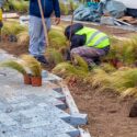 Corporate Landscapes: Elevate Your Business with Expert Landscaping Solutions