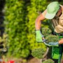 Creating Lasting Impressions with Hardscaping for Commercial Properties
