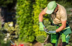creating lasting impressions with hardscape and landscape design at commercial properties in Rhode Island