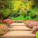 Hire Full Service Landscaping Design-Build Team in Rhode Island