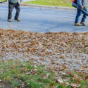 Commercial Fall and Winter Landscaping Trends in Rhode Island