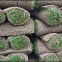 Why You Should Hire a Pro to Install New Sod in Glocester, RI