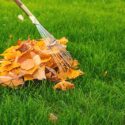 Autumn’s Artistic Touch: Seasonal Landscaping Magic in Northern Rhode Island