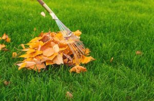 seasonal landscaping in Northern Rhode Island