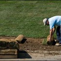 Sod vs Seed: The Quest for Green Grass in Providence, Rhode Island