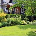 Spring Lawn Care in Rhode Island: Get Your Yard Ready to Grow