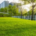 Transform Your Outdoor Space: Seasonal Landscaping Services for Commercial Properties