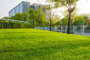 transform outdoor space with professional landscaping