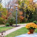 Transformative Seasons: Essential Landscaping Projects for Commercial Properties