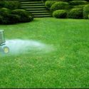 North Providence Lawn Care: Weed & Fertilize in Rhode Island