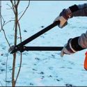 Winter Cleanup Services: Landscaping in Northern Rhode Island