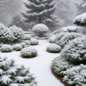 Winter Wonderland: Transforming Your Northern Rhode Island Landscape